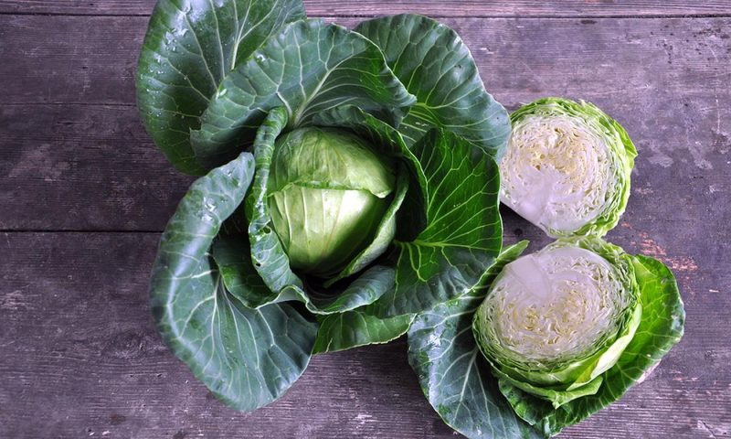 Приметы и поверья на 9 августа 2023 года, которым следуют ради приумножения богатства