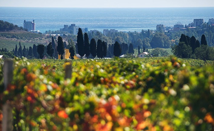 Один звонок — и Крым с Донбассом вернутся на Украину: у Зеленского резко обратились к Путину и РФ (Главред)