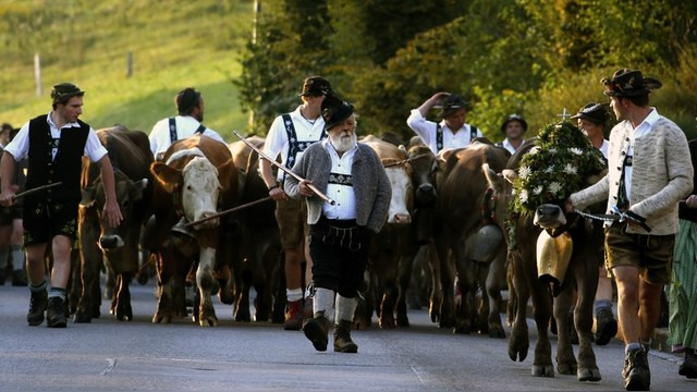 Отвесили леща: Немецкие рыбаки пожаловались на антироссийские санкции