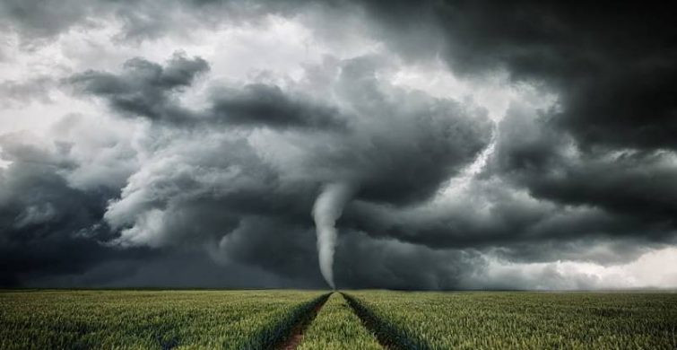 Какие погодные аномалии произошли в мире за последние 10 дней