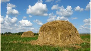 День святой Мокрины, 1 августа 2023 года, богат приметами и поверьями