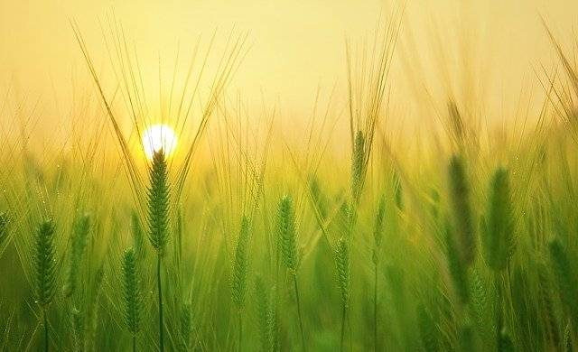 Старинные приметы и праздники 3 августа 2023 года: что нельзя, а что можно делать в этот день