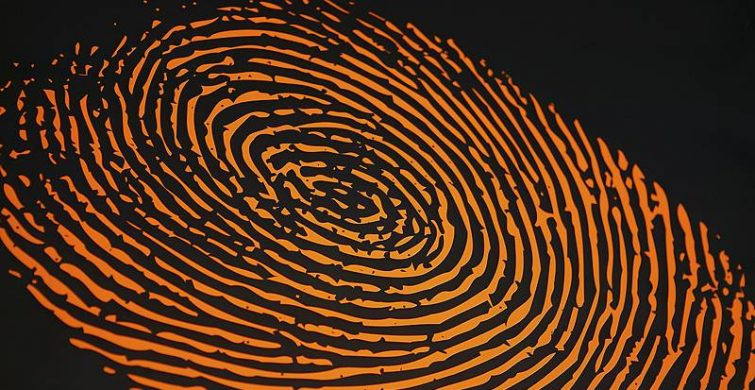 Ученые доказали, что каждый человек имеет «клеточные отпечатки пальцев» которые предсказывают, когда вы заболеете раком