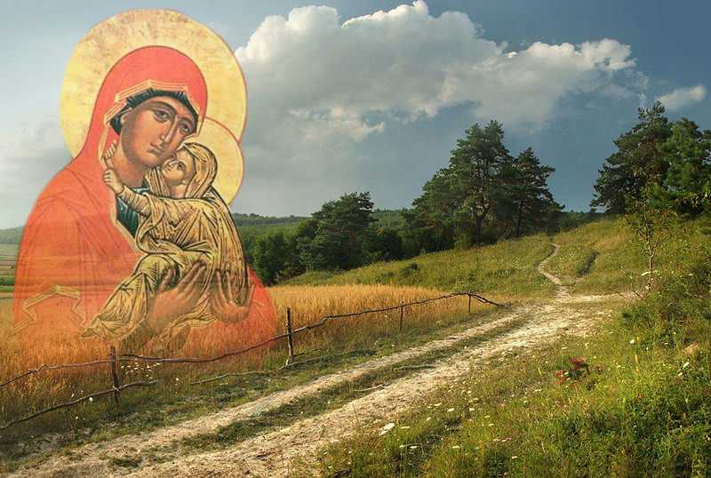 Праздник Анны летней 7 августа 2023 года: история, традиции, запреты и приметы