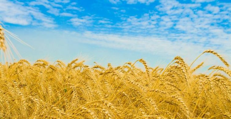 Успение Анны матери Пресвятой Богородицы, 7 августа 2023 года, что нельзя делать в этот праздник и какую молитву читать