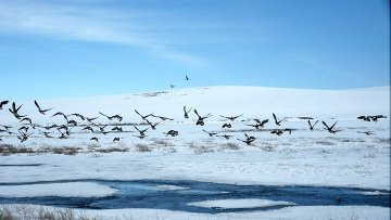План спасения мира