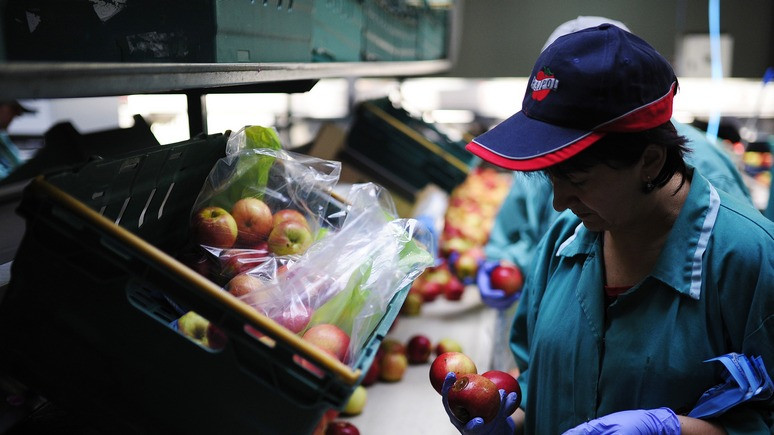 N-TV: украинские гастарбайтеры спасают Польшу от экономической катастрофы