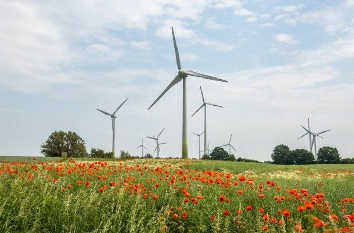 Доля ветрогенерации в энергобалансе Европы достигла месячного максимума