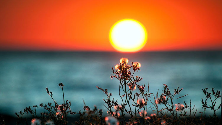 Какой церковный и народный праздник будут отмечать 26 июля 2023 года: приметы и традиции дня