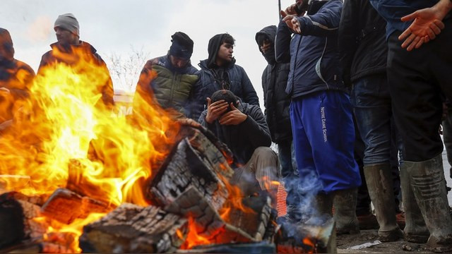 Forbes: Беженцы из Сирии создадут больше проблем Путину, чем Европе