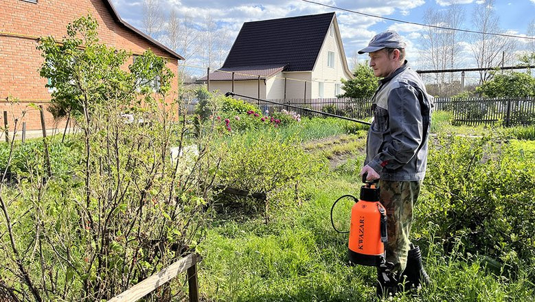 Подсказки дачникам: что и когда делать на огороде и в саду по лунному посевному календарю на август 2023 года