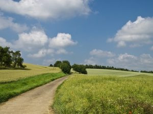 Приметы, традиции, запреты праздника Кирик и Улита, 28 июля 2023 года