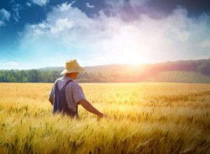 Приметы и поверья на 28 июля 2023 года о погоде на ближайшее время