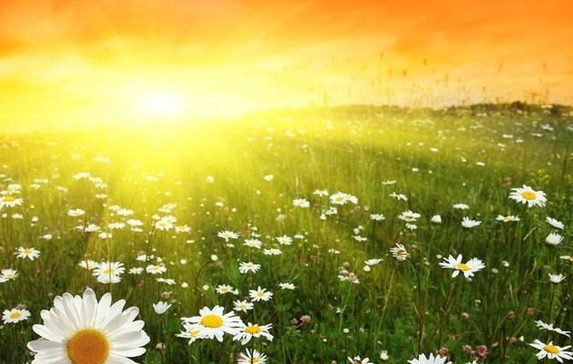 Что нам готовит август 2023 года: гадание по картинке