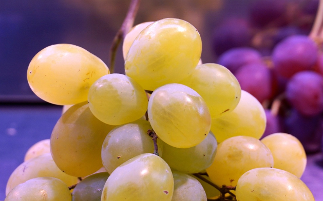 EurekAlert: Вино сохраняет молодость кожи