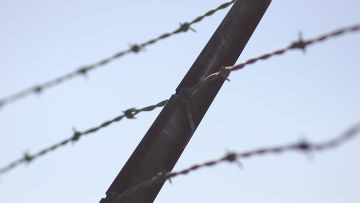 Гнетущее молчание вокруг цыганского концлагеря в поселке Леты