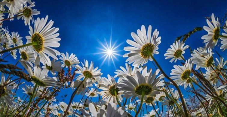 Какой церковный праздник отмечают 29 июля 2023 года, традиции и история праздника