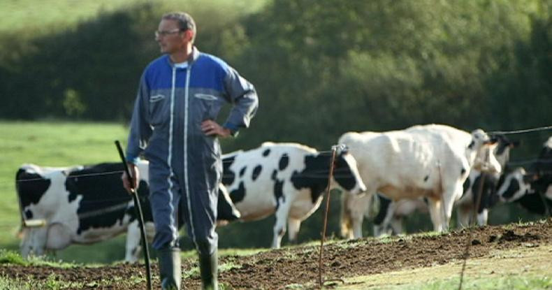 Ежегодно 600 французских фермеров совершают самоубийства из-за экономических трудностей