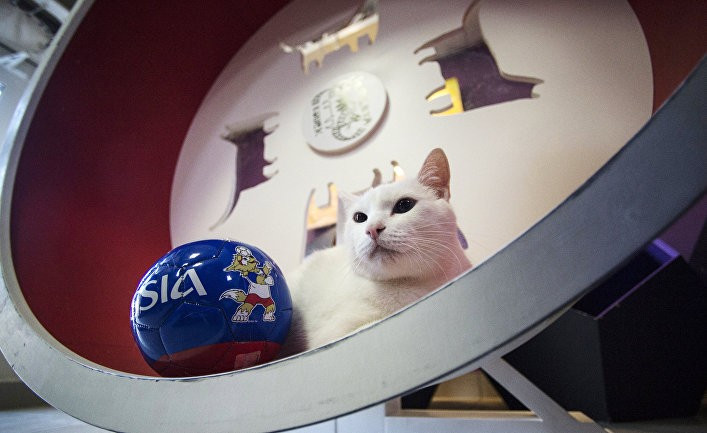 Почему для Путина так важен ЧМ?