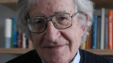 Правда Хомского — правда глупости