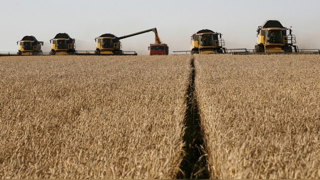 Bloomberg: На еде Россия заработала больше, чем на оружии