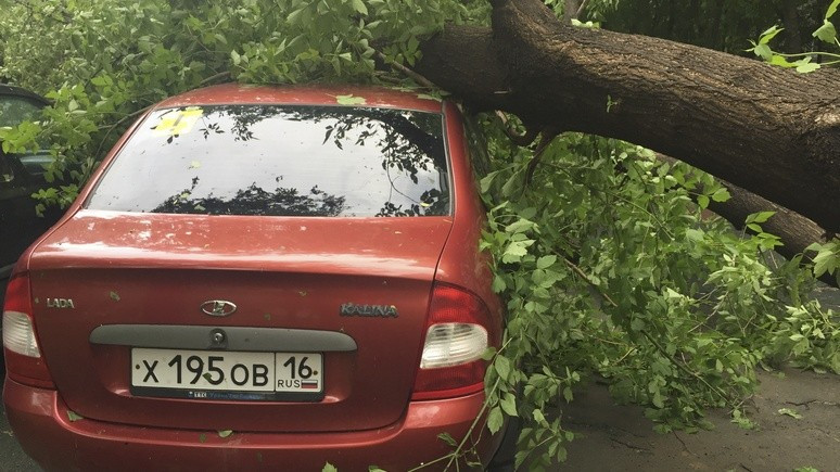BBC: смертоносный ураган в Москве унёс жизни 11 человек