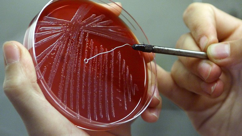 Вести: в украинском Тернополе обнаружили сибирскую язву