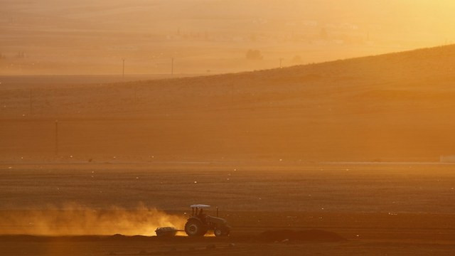 Hürriyet Daily News: Российские санкции подкосили турецкое сельское хозяйство