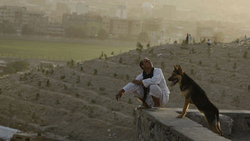 Морской пехотинец в Кабуле сражается за жизнь кошек и собак