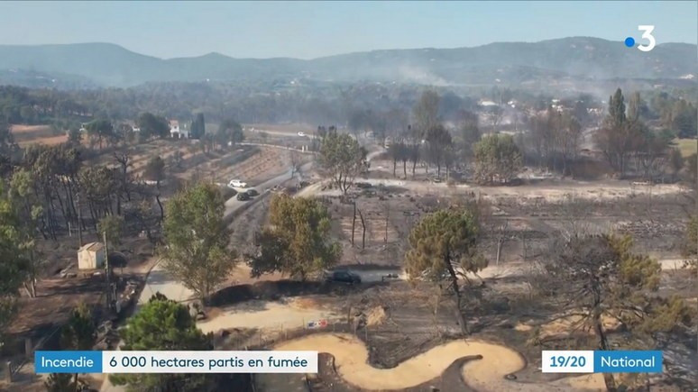 France 3: крупнейший пожар во Франции за одну ночь уничтожил 6 тысяч гектаров леса
