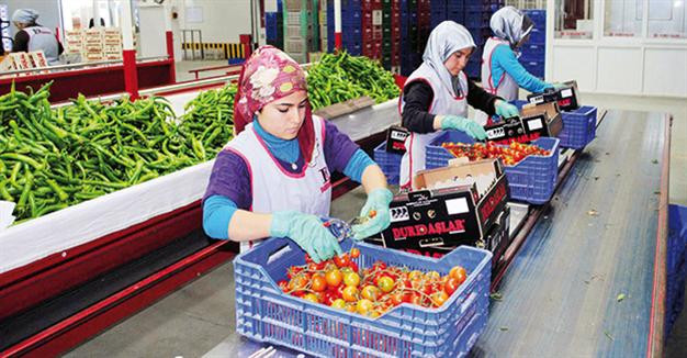 Кризис в отношениях с Россией обходится Анкаре все дороже