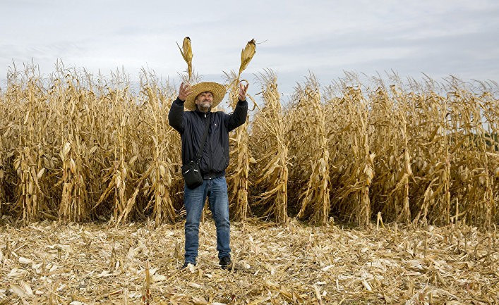 Главред: продажа земли — последний этап доедания Украины