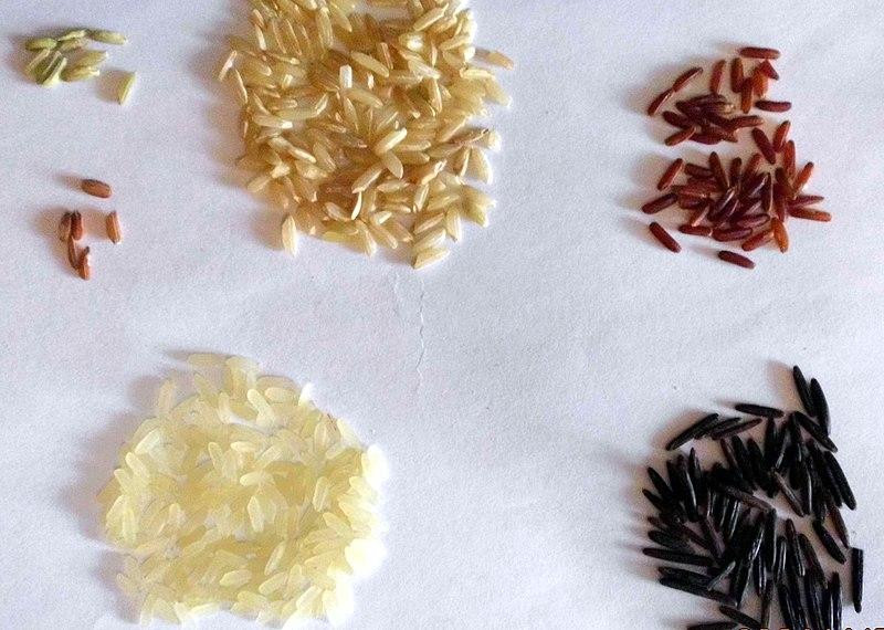 Эндокринолог Армине Афонина назвала повышающие риск диабета несладкие продукты