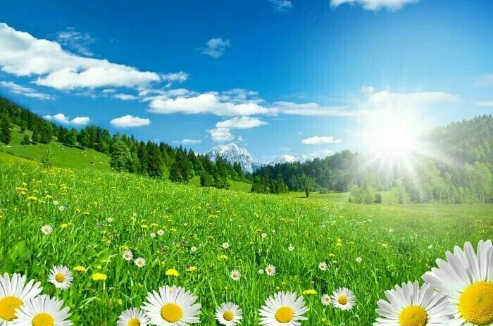 Народный праздник Антоний Громоносец отмечается 23 июля, что можно и чего нельзя делать в этот день