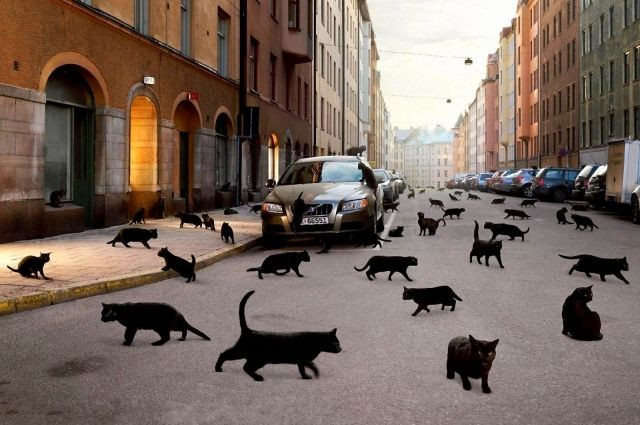 От суеверий до обманов: мифы, которые запомнились нам в детстве 90-х