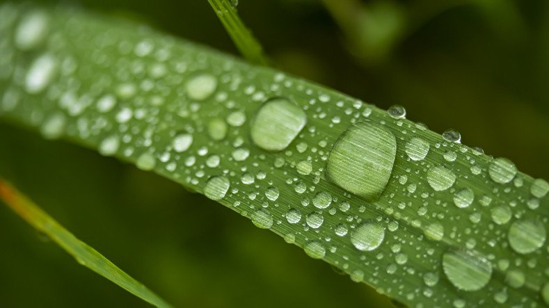 Старинные приметы на праздник 25 июля 2023 года: что нельзя, а что можно делать в этот день