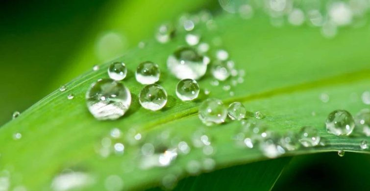 Что можно и что нельзя делать 25 июля в праздник иконы Богородицы «Троеручица» и народный Прокл Плакальщик