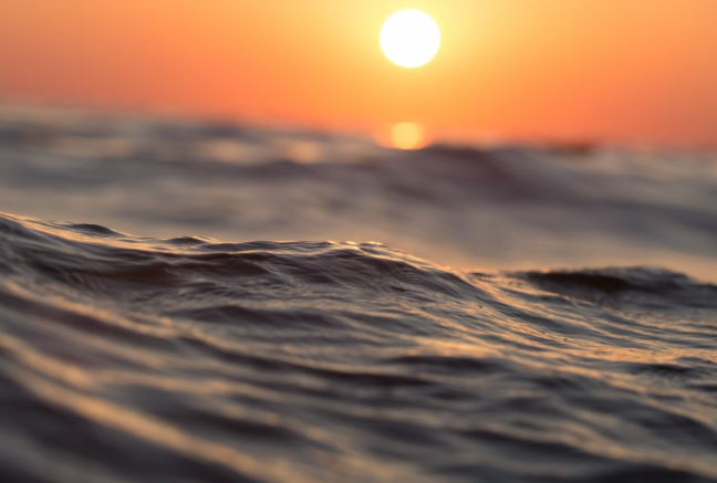 Иностранные суда запрашивают разрешение на укрытие в бухтах Приморья перед приближающимся тайфуном