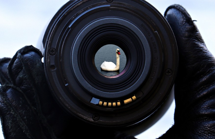 Закончились съемки российского ответа «Игре в кальмара»