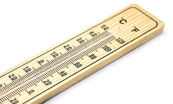 Врач Новоселов заявил, что Володарского, Борисову и Васильеву «убила августовская жара»