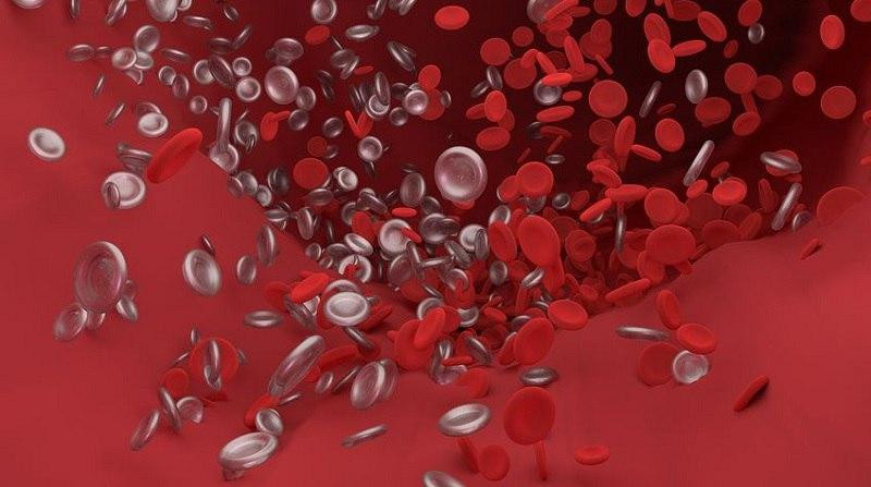 Кардиолог Варфоломеев назвал три способа предотвращения появления смертельных тромбов в ногах