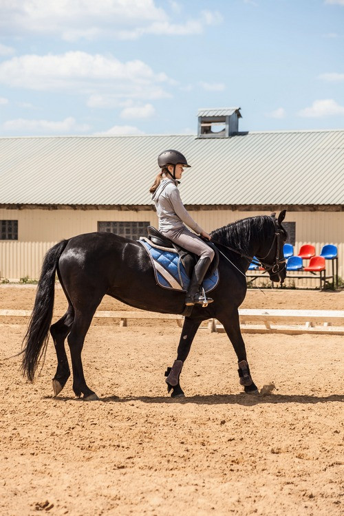 В проекте «Подкованные» в Орловской области приняли участие 25 подростков - Новая общественная газета