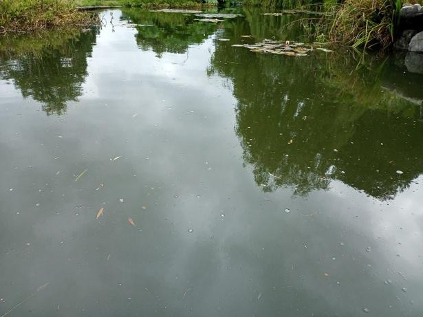 В Нижнем Тагиле женщину госпитализировали после попадания в пруд