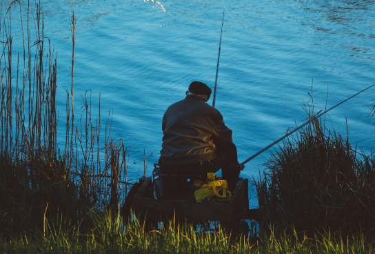 Британец нашел «чудище из фильмов ужасов» во время рыбалки