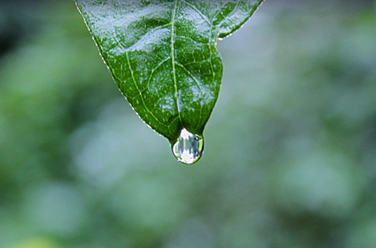 В Таджикистане 17 человек погибли из-за сильных дождей