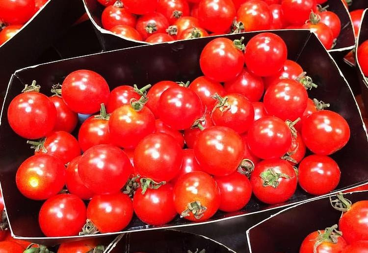Россия в 2023 году закупает почти все импортируемые томаты у Азербайджана