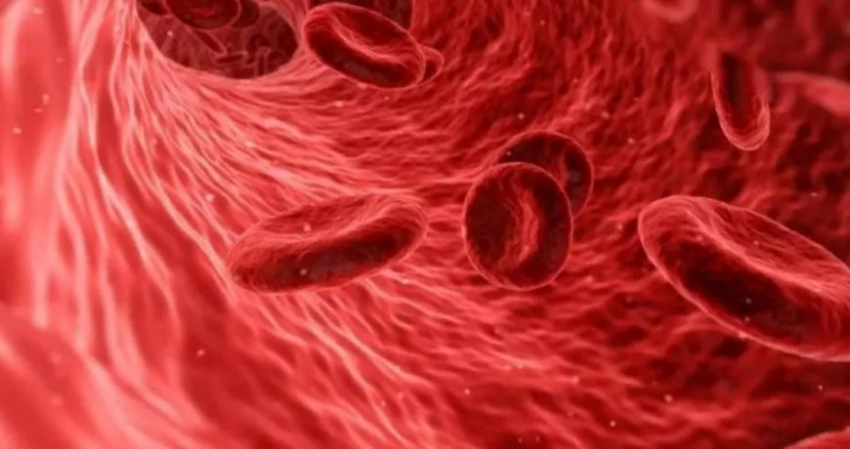 Назван продукт, который делает кровь густой: что сказал российский врач-токсиколог