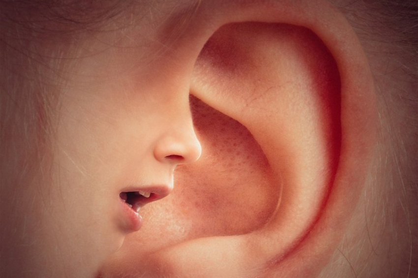 Медики РФ научились печатать на 3D-принтере аналог барабанной перепонки