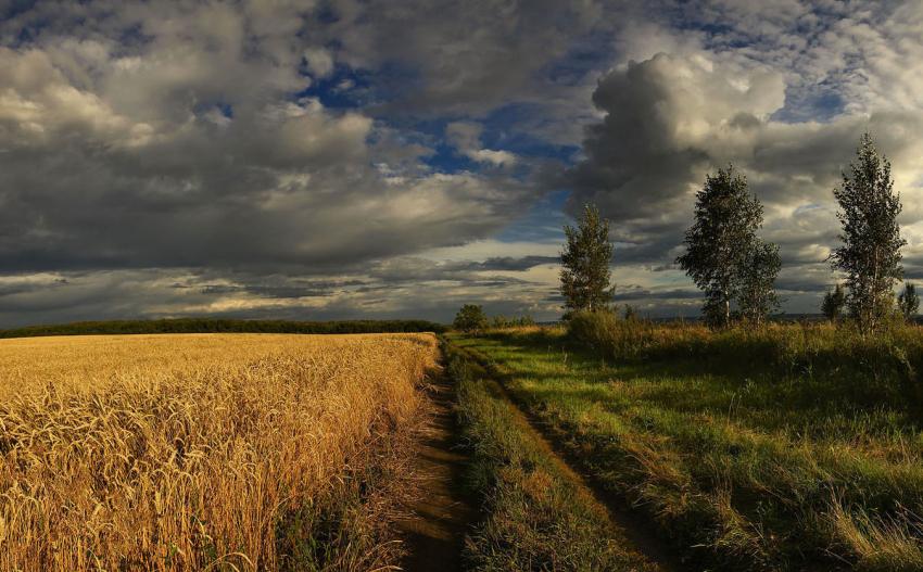 Самые интересные народные приметы августа