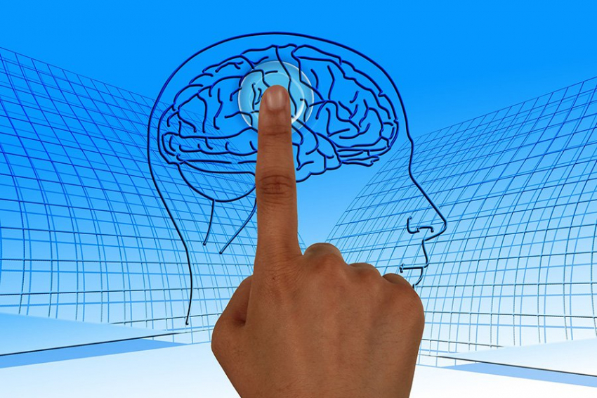 Мозговая активность в детском возрасте может предсказать IQ в возрасте 18 лет